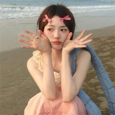 盗贼生涯
